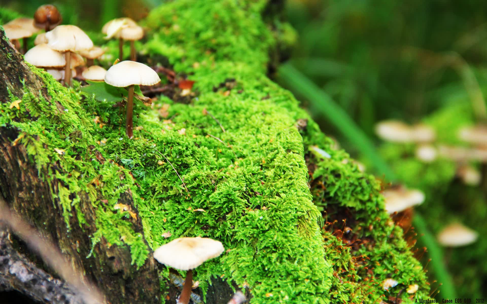 世界举重康复培训班:物理与功能训练并重获好评,举重课程