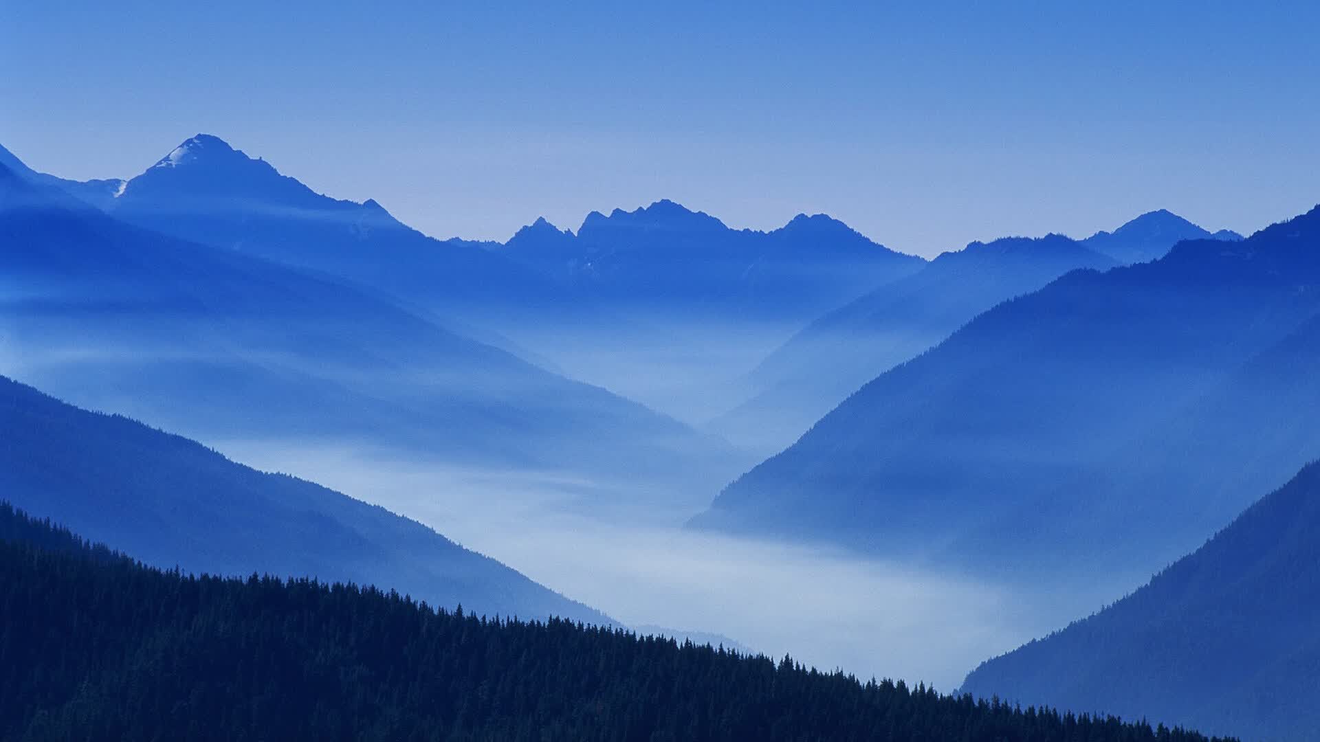 世界拳击赛明星教练战术揭秘,世界著名拳击教练